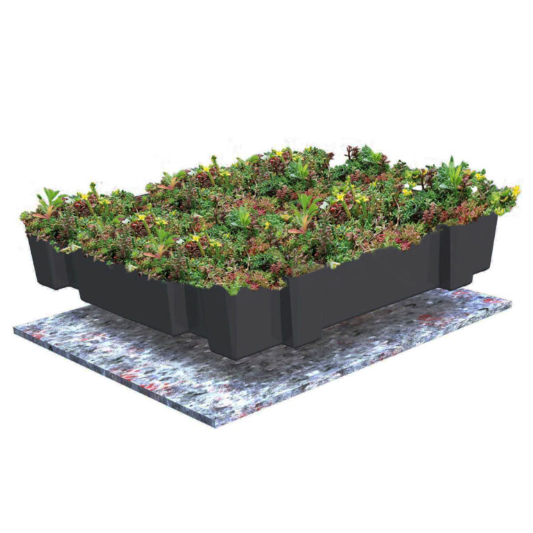 Sedum tray Place 'n Go 0.5x0.5